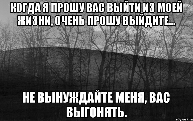 Когда я прошу вас выйти из моей жизни, очень прошу ВЫЙДИТЕ… Не вынуждайте меня, вас ВЫГОНЯТЬ., Мем безысходность лес