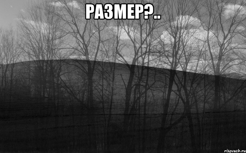 размер?.. 