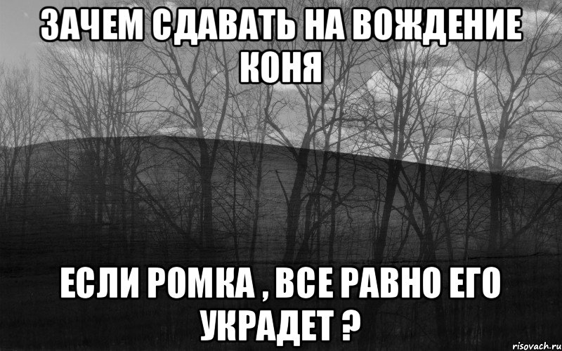 Зачем сдавать на вождение коня если Ромка , все равно его украдет ?