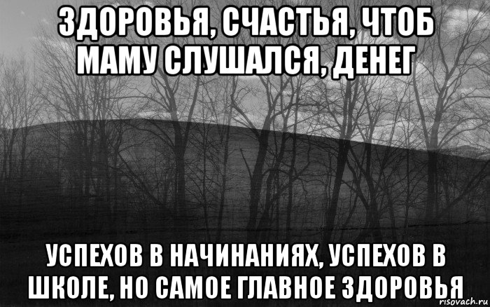 здоровья, счастья, чтоб маму слушался, денег успехов в начинаниях, успехов в школе, но самое главное здоровья, Мем безысходность лес