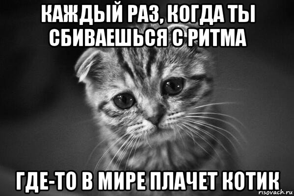 каждый раз, когда ты сбиваешься с ритма где-то в мире плачет котик, Мем  безысходность