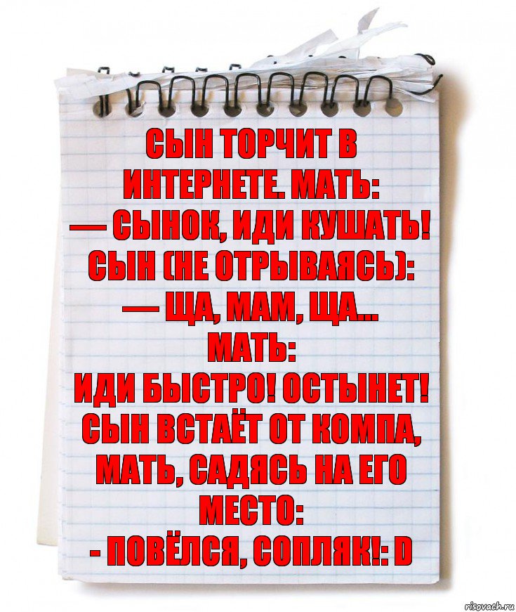 Сын торчит в интернете. Мать:
— Сынок, иди кушать!
Сын (не отрываясь):
— Ща, мам, ща…
Мать:
Иди быстро! Остынет!
Сын встаёт от компа, мать, садясь на его место:
- Повёлся, сопляк!: D, Комикс   блокнот с пружинкой