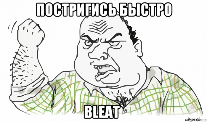 постригись быстро bleat`