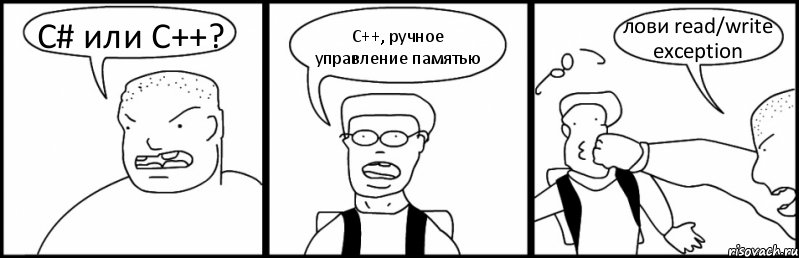 C# или С++? С++, ручное управление памятью лови read/write exception, Комикс Быдло и школьник