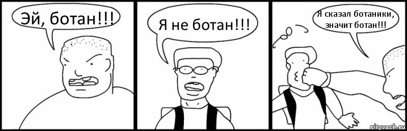 Эй, ботан!!! Я не ботан!!! Я сказал ботаники, значит ботан!!!, Комикс Быдло и школьник