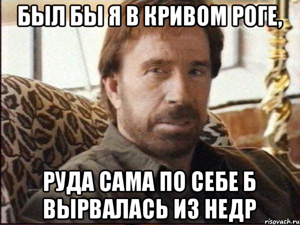 Был бы я в Кривом Роге, руда сама по себе б вырвалась из недр, Мем чак норрис