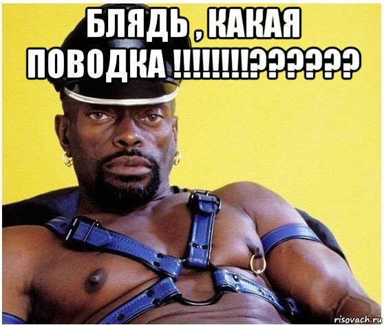 блядь , какая поводка !!!!!!!!?????? , Мем Черный властелин