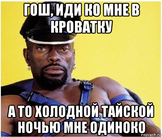 гош, иди ко мне в кроватку а то холодной тайской ночью мне одиноко, Мем Черный властелин