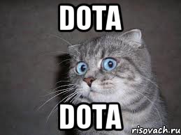 dota dota, Мем  удивлённый кот