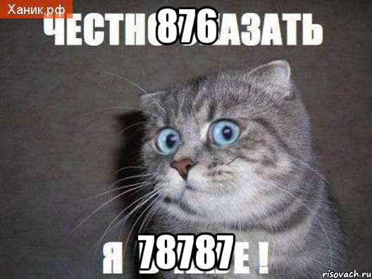 876 78787, Мем  удивлённый кот