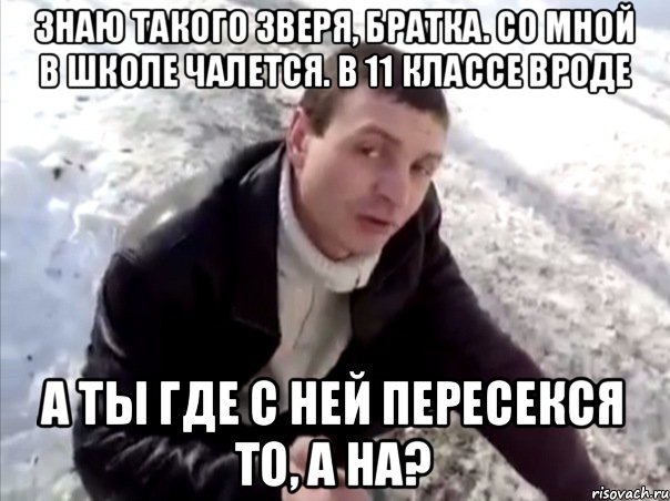 Знаю такого зверя, братка. Со мной в школе чалется. В 11 классе вроде А ты где с ней пересекся то, а на?, Мем Четко