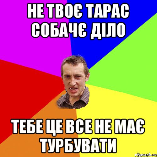 не твоє тарас собачє діло тебе це все не має турбувати, Мем Чоткий паца