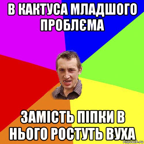 в кактуса младшого проблєма замість піпки в нього ростуть вуха, Мем Чоткий паца