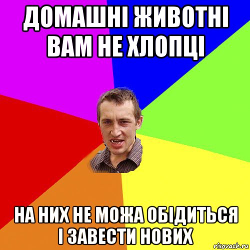 домашні животні вам не хлопці на них не можа обідиться і завести нових, Мем Чоткий паца