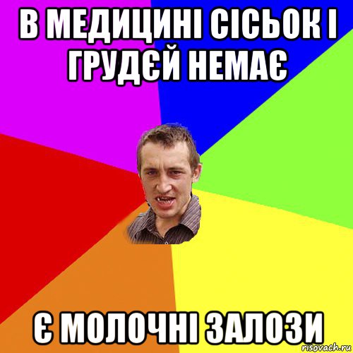 в медицині сісьок і грудєй немає є молочні залози, Мем Чоткий паца