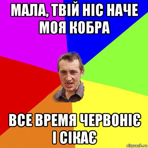 мала, твій ніс наче моя кобра все время червоніє і сікає, Мем Чоткий паца