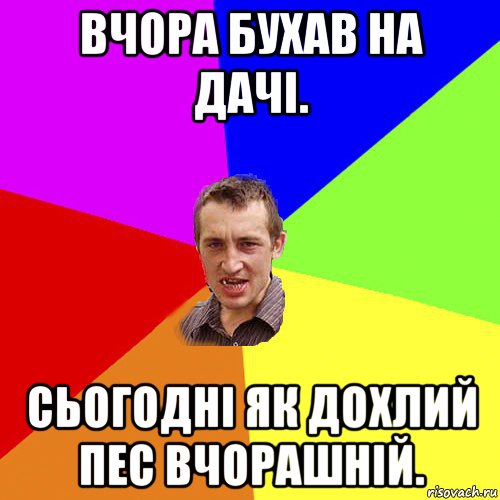 вчора бухав на дачі. сьогодні як дохлий пес вчорашній., Мем Чоткий паца