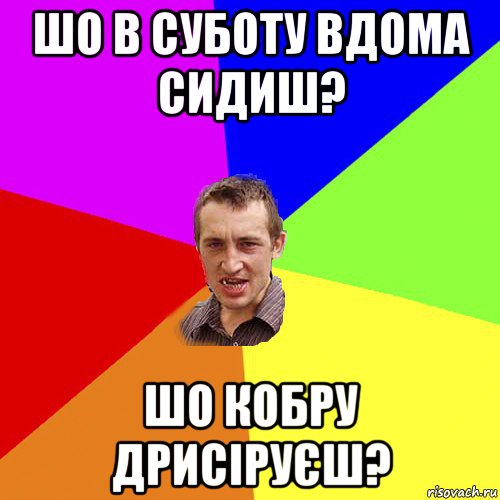 шо в суботу вдома сидиш? шо кобру дрисіруєш?, Мем Чоткий паца