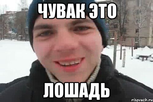 Чувак это Лошадь, Мем Чувак это рэпчик