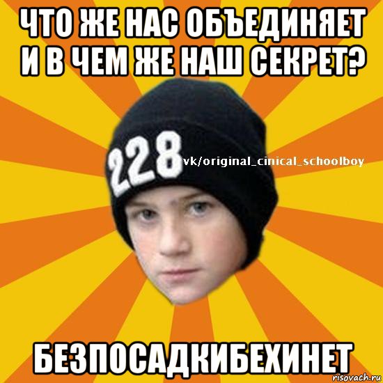 что же нас объединяет и в чем же наш секрет? безпосадкибехинет, Мем  Циничный школьник