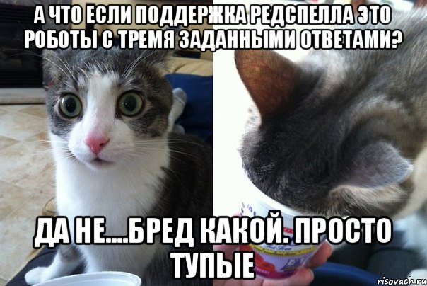 а что если поддержка редспелла это роботы с тремя заданными ответами? да не....бред какой. просто тупые, Комикс  Да не бред-какой-то (2 зоны)