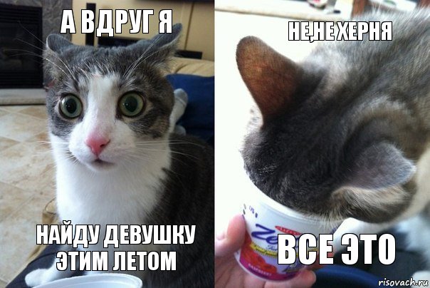 А ВДРУГ Я НАЙДУ ДЕВУШКУ ЭТИМ ЛЕТОМ НЕ,НЕ ХЕРНЯ ВСЕ ЭТО, Комикс  Да не бред какой-то (4 зоны)