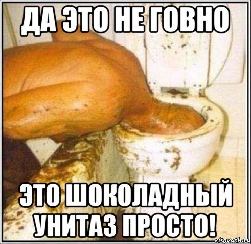 да это не говно это шоколадный унитаз просто!, Мем Дайвер