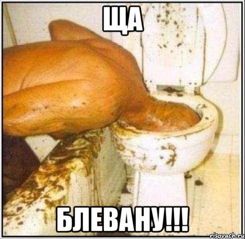 ща блевану!!!, Мем Дайвер