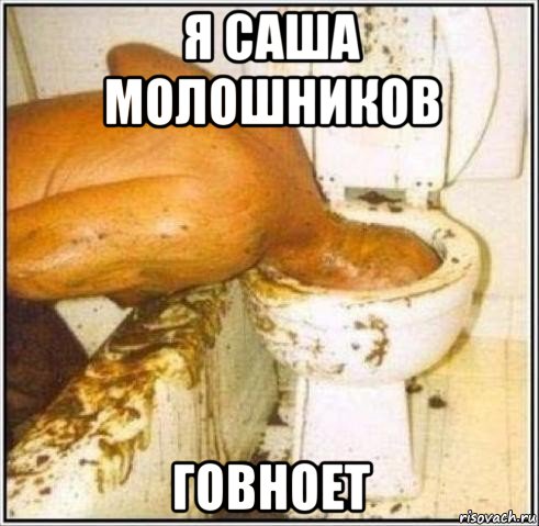 я саша молошников говноет, Мем Дайвер