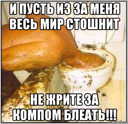 и пусть из за меня весь мир стошнит не жрите за компом блеать!!!, Мем Дайвер