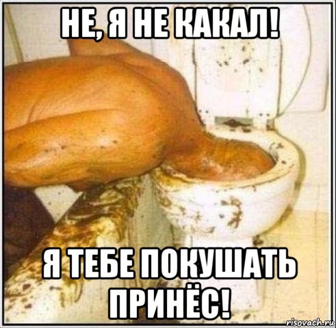 не, я не какал! я тебе покушать принёс!, Мем Дайвер