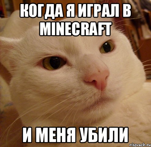 когда я играл в minecraft и меня убили, Мем Дерзкий котэ