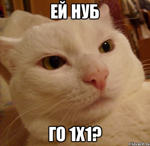 ей Нуб го 1х1?, Мем Дерзкий котэ