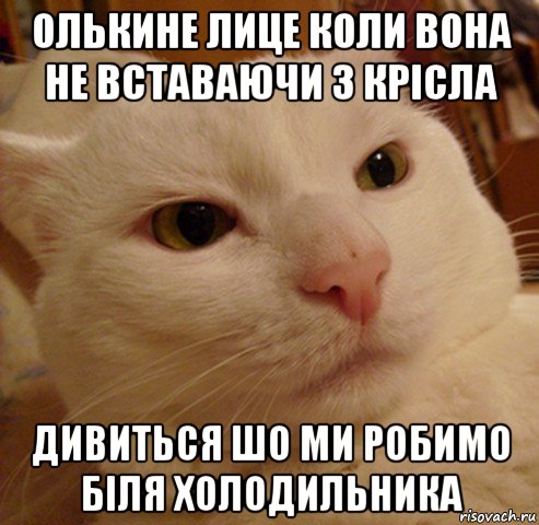 олькине лице коли вона не вставаючи з крісла дивиться шо ми робимо біля холодильника, Мем Дерзкий котэ