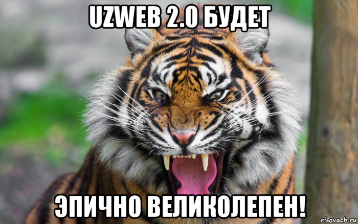 uzweb 2.0 будет эпично великолепен!, Мем ДЕРЗКИЙ ТИГР