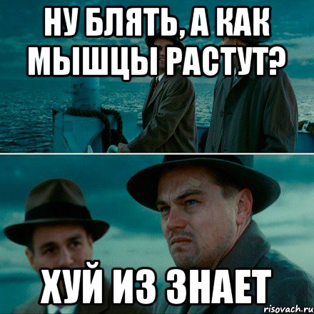 ну блять, а как мышцы растут? хуй из знает, Комикс Ди Каприо (Остров проклятых)