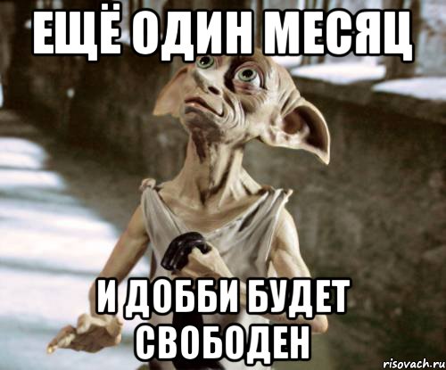 Ещё один месяц и Добби будет свободен