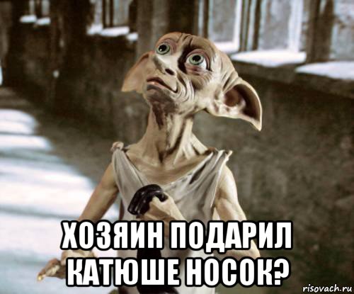  хозяин подарил катюше носок?, Мем добби