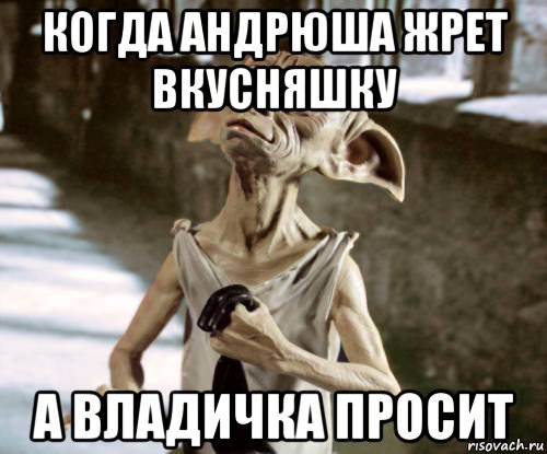когда андрюша жрет вкусняшку а владичка просит, Мем добби