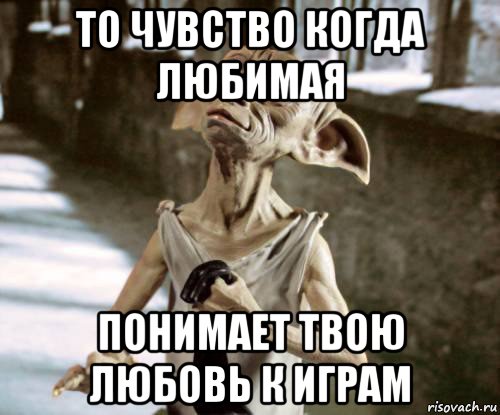 то чувство когда любимая понимает твою любовь к играм, Мем добби
