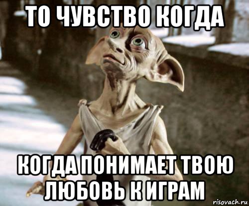 то чувство когда когда понимает твою любовь к играм, Мем добби