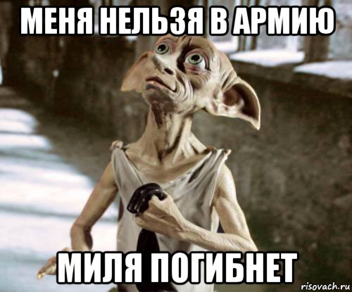 меня нельзя в армию миля погибнет, Мем добби