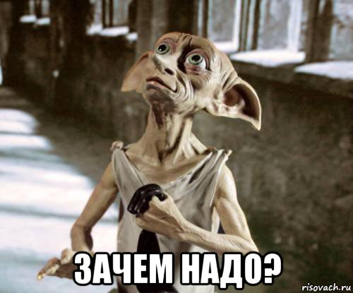  зачем надо?, Мем добби