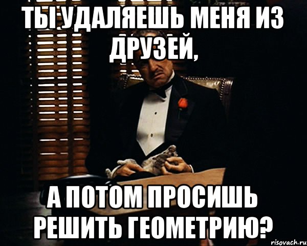 Ты удаляешь меня из друзей, а потом просишь решить геометрию?