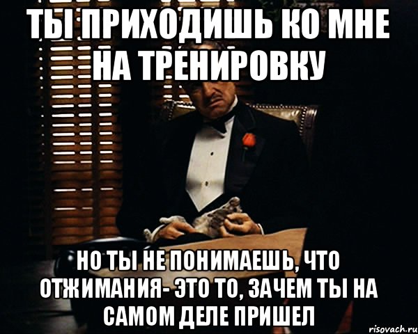 Ты приходишь ко мне на тренировку Но ты не понимаешь, что отжимания- это то, зачем ты на самом деле пришел, Мем Дон Вито Корлеоне