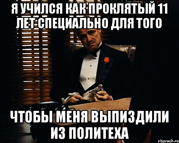 Я учился как проклятый 11 лет специально для того Чтобы меня выпиздили из политеха, Мем Дон Вито Корлеоне