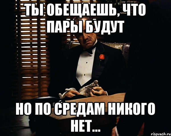 Ты обещаешь, что пары будут но по средам никого нет..., Мем Дон Вито Корлеоне