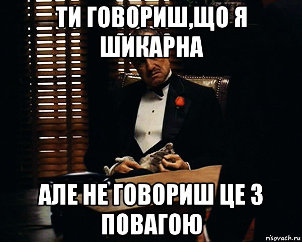 ти говориш,що я шикарна але не говориш це з повагою, Мем Дон Вито Корлеоне