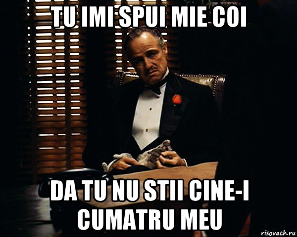 tu imi spui mie coi da tu nu stii cine-i cumatru meu, Мем Дон Вито Корлеоне