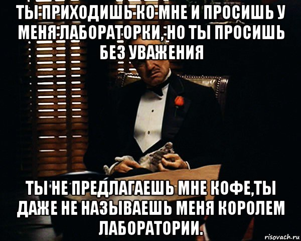 ты приходишь ко мне и просишь у меня лабораторки, но ты просишь без уважения ты не предлагаешь мне кофе,ты даже не называешь меня королем лаборатории., Мем Дон Вито Корлеоне